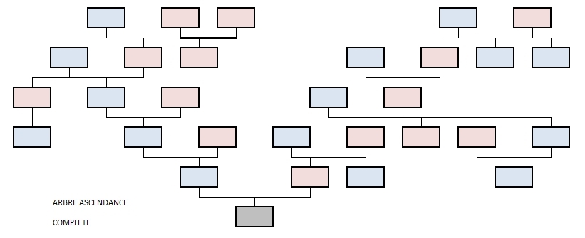 Schéma d'arbre de généalogie ascendante complète 6 générations