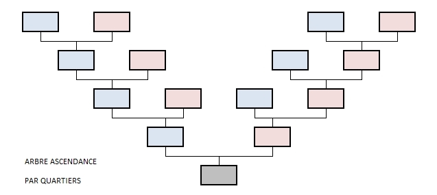Schéma d'arbre de généalogie ascendante par quartiers 6 générations